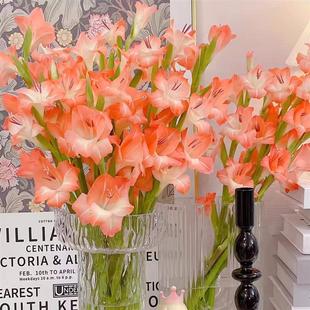 10 Amaryllis Bulbs, Perennial Flower Potted Amaryllis Bulbs, Easy-To-Live Courtyard Landscaping Bulb Plants, Bare Bulbs