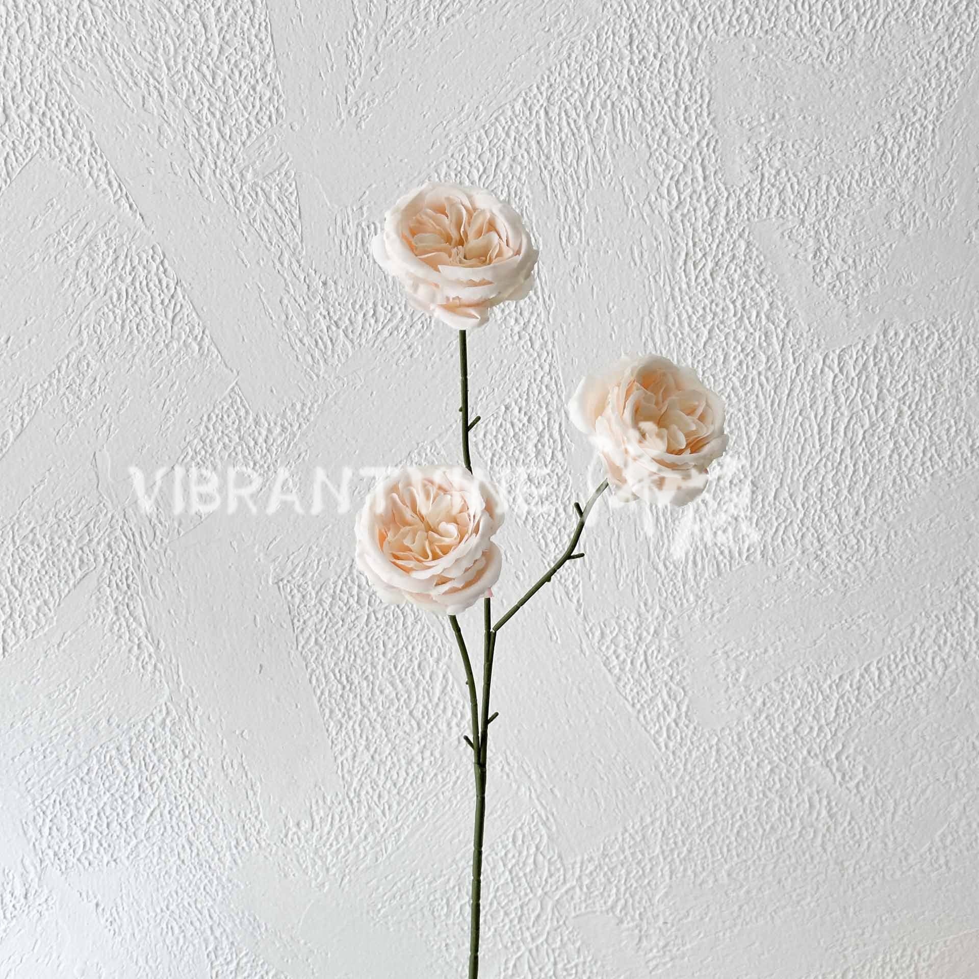 Champagne color