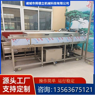 平行式毛刷清洗机毛辊去杂机圣女果槟榔草莓火龙果毛辊清洗设备