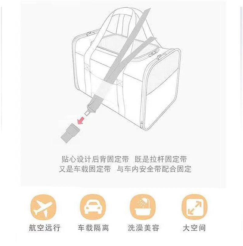 d6f3dcd4-f105-43ad-b8bc-7d3c6fd94357.jpe