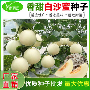 ���l�����ش��ɳ����ϷN����ϷN�Ӵ����ﶬ�ļ��̨�����߲˷N