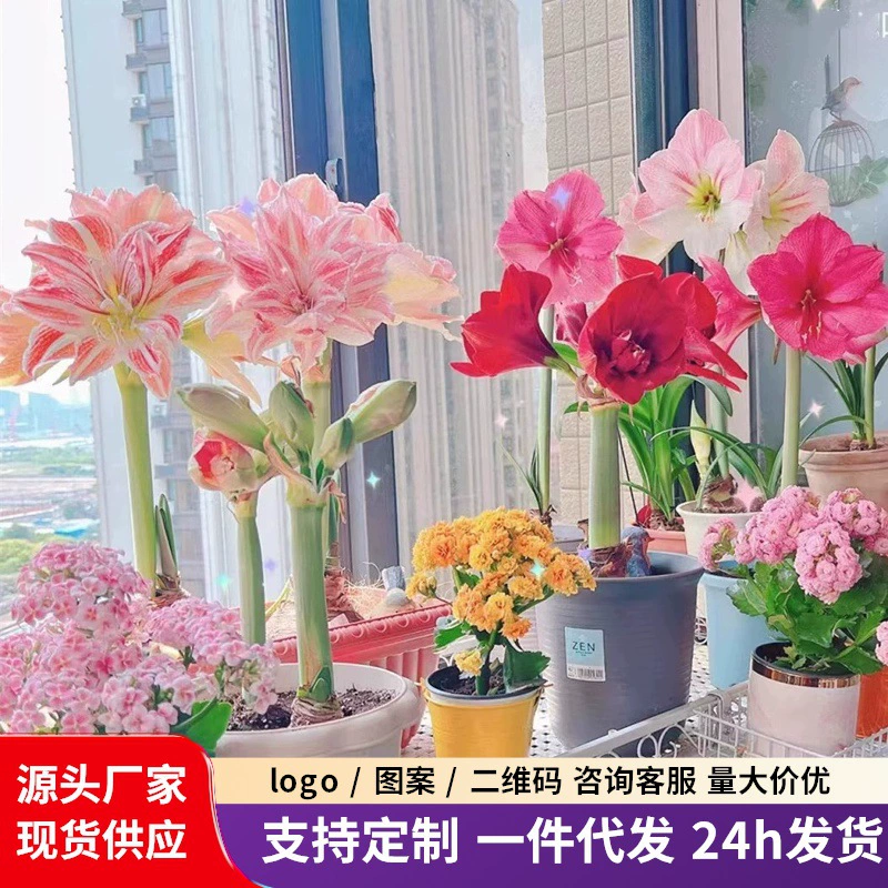 Голландский шарик с двойным лепестком