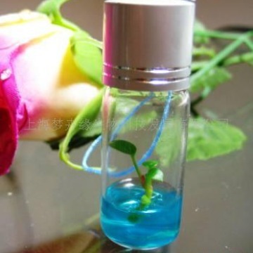 随身农场宠物树pet tree,mini plant微景观植物宝宝