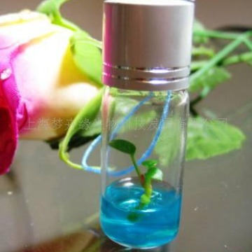 随身农场宠物树pet tree,mini plant微景观植物宝宝