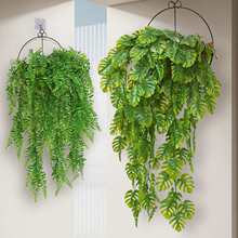 �����ȼ����ٗl�����~��˹�~�ڒ��҃ȱ����������P�bG�~���ϻ�