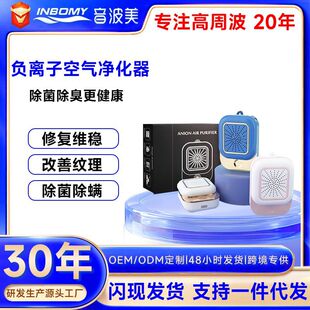 Customized negative ion air disinfection instrument portable negative ion air purifier handle color box OEM