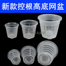 ͸�������m�����FƤʯ����������͸���ɫ��ֲ�@�������Ͽظ��W��