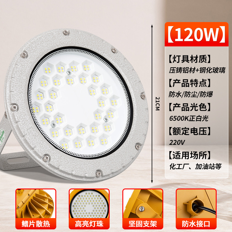 [그레이 라운드 EX 방폭등] 120W