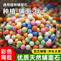 彩色陶粒花卉铺面垫底多肉盆栽透气水培养花陶粒鱼缸造景陶瓷颗粒