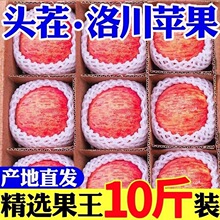 [脆甜]陕西正宗洛川红富士苹果新鲜应季水果冰糖心苹果批发一整箱