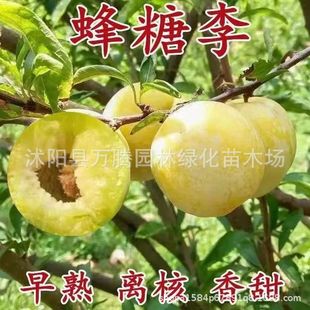 �������Ә���޽��ش�����Ó�������÷�������ϱ����Nֲ�������