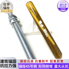 高强度化学锚栓碳钢镀锌锚固螺栓建筑定型锚栓化学幕墙螺丝双头