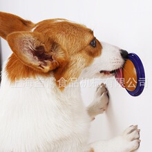 厂家自动一体化软糖浇注线小型明胶软糖设备双排糖果机械价格设备