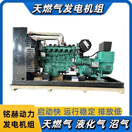 燃气发电机组;柴油发电机组;内燃机