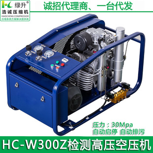 ���������y�ܼ� 30MPA����300BAR���� �����ԙz�y�߉��Չ��C