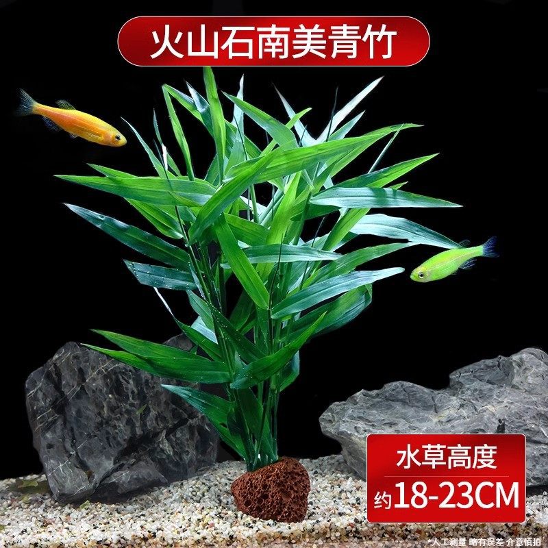 Active aquatic plants