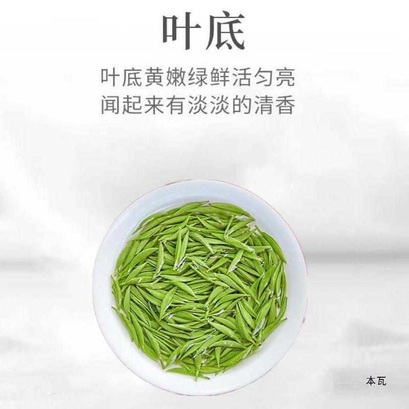 【毛尖】信阳毛尖新茶明前嫩芽毛尖茶叶绿茶罐装1|undefined