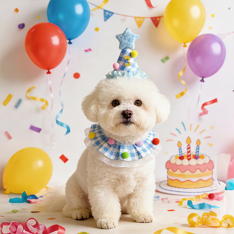 新款宠物生日套装狗狗周岁生日帽子可爱小猫咪围脖场景布置口水巾