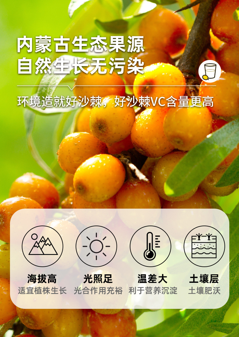 Sea Buckthorn Juice Puree Fresh Pressed Sour Berry Drink 30ml x 10 Sachets key features