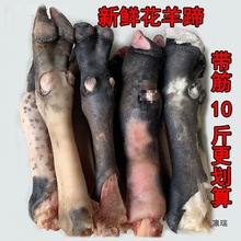 10�����r�������ɽ��������������ɹ�ɢ�B������������_��5��