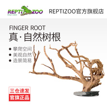Reptizoo��Ƥ��Ȼ�쾰����޽��ߘ䗫�����~���쾰��Ʒ���N���[��