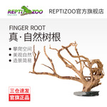 Reptizoo饲养缸睫角树栖爬虫造景爬宠天然树根鱼缸造景杜鹃根摆件