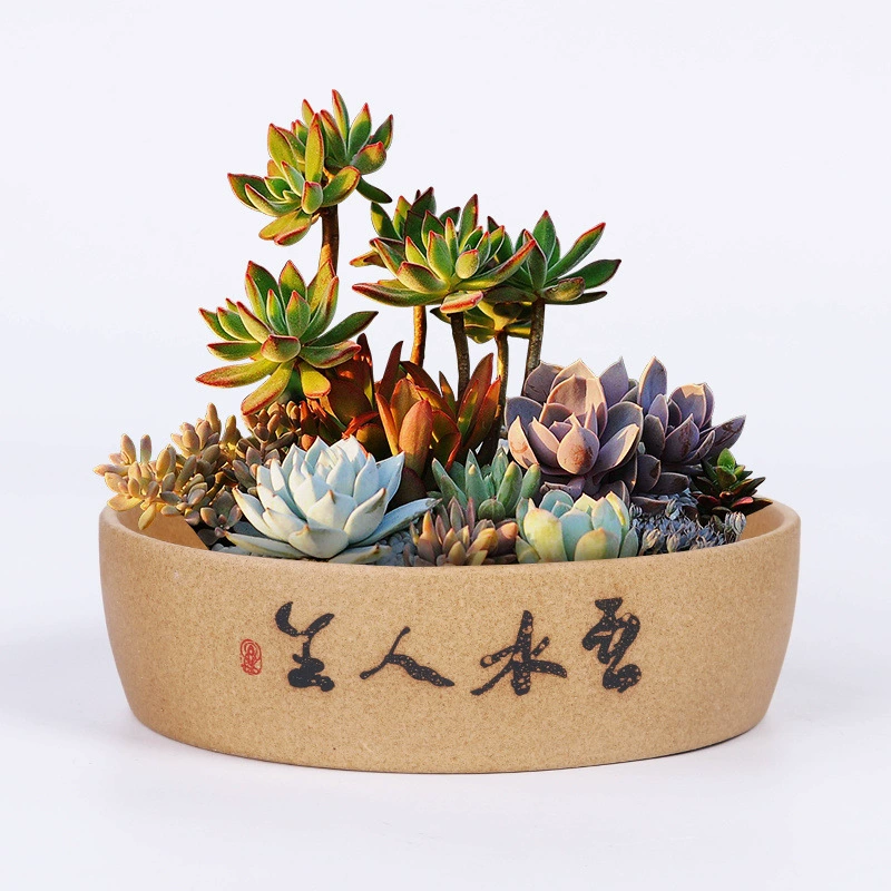 Простой деревенский терракотовый цветочный горшок для суккулентов, дышащий набор для оптовой продажи, старый горшок для суккулентов, большой и маленький размеры