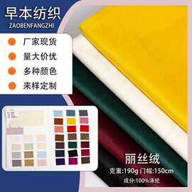 现货供应 190克丽丝绒 荷兰绒天鹅绒布料 服装箱包玩具沙发套面料