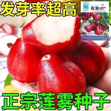 �ļ����Nɏ�F�N�Ӻڽ���ɏ�F�N�Ѻ��ǰű�ˮ���N�����Ԯ���Y��Z