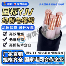 全球热销YJV阻燃3芯6平方新能源充电桩专用电缆线电线国标铜芯线