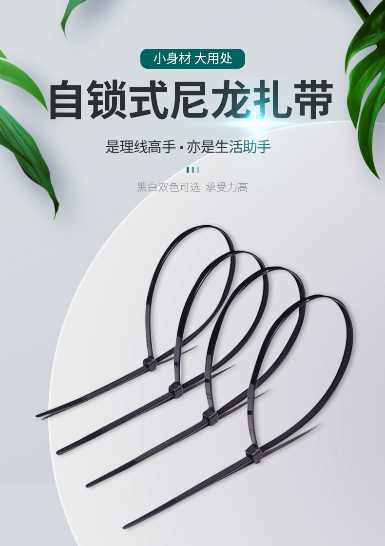 自锁式尼龙扎带_02.jpg