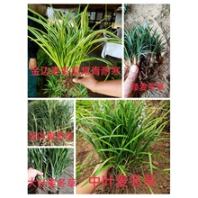 ���~�����ݼ��~�����ݰ������������{���Sβ���~�����ݽ�߅������