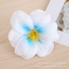 [White blue core]