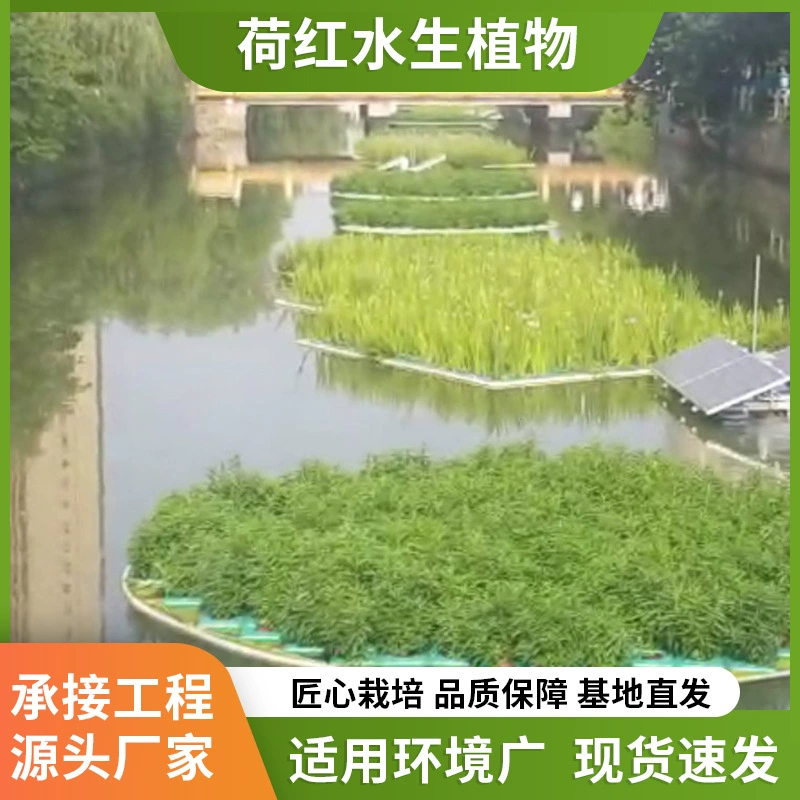 HDPE полистирол экологический плавучий остров с улучшенным качеством воды круглый плавучий остров полиэтиленовый материал плавучий остров строительство плавучего острова