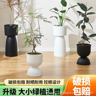 �羳���Q���Wins�L�߰����躆�s�����m�G�}���m�����m�Gֲ����