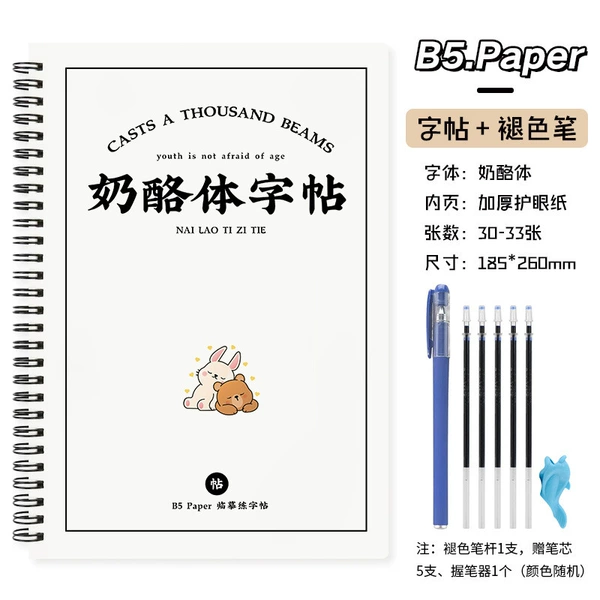 Copybook + faded pen [5 refills included]