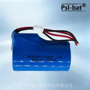 ER26500+LIC0820 NBiot���W늳ظ�����������}�_�L����ˮ���
