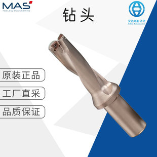 ���Sֱ�� �� MAS �������b ���P� ��^ ����̖��ԃ WDX-Typ