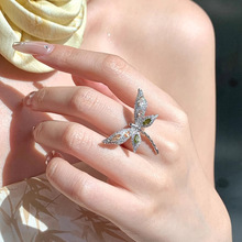 �pɫ���W��ɫ������ָŮ�䵭�L�r�Ђ��Ծ��°ٴ�߼����_��ʳָ��