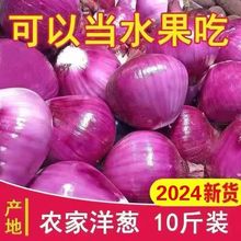 【脆甜新鲜】云南紫皮小洋葱现挖现发水果洋葱头蔬菜批发2/5/10斤