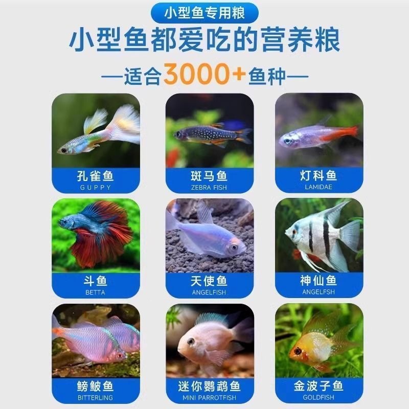 小鱼苗增彩饲料鱼食鱼饲料小颗粒通用孔雀鱼幼鱼开口鱼粮观赏斗鱼