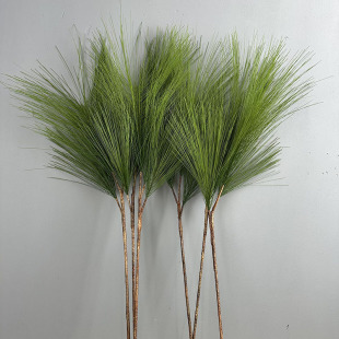 �����ɘ�֦�Rβ�ɷ���Gֲ3���Aɽ�������J�������R�ɻ�c�b�