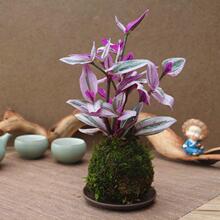 ̦��̦�\���ͮ���Y�҃�������֬녾Gֲ��ˮ����m�����辰����ȩ