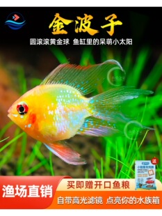 ���Ľ��Ӱ����_�P���~Ƥ�������@��Ꭷ�^�p�~���w�Ꭷ�~�^�p�~