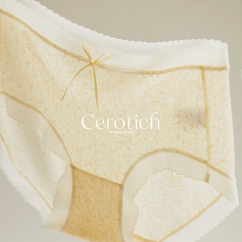 CEROTICH French lace floral underwear women's summer thin breathable mid-waist sexy silk crotch briefs