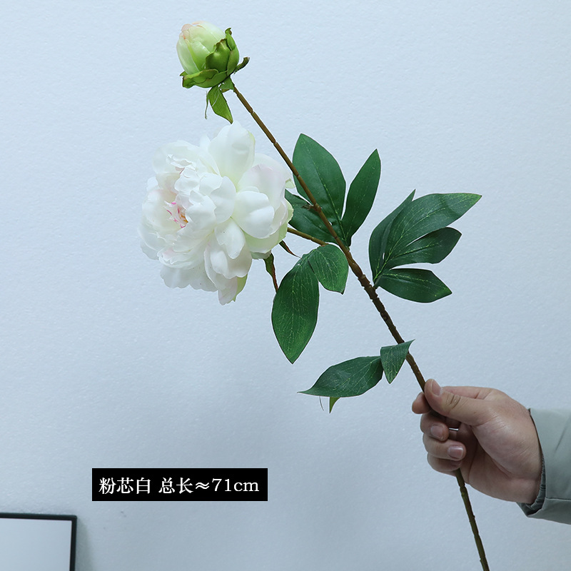 2 # 핑크 코어 화이트