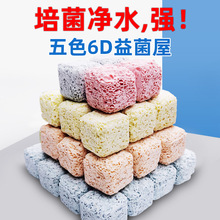 ~^VݞVմɭh{ʯӢ^V~V