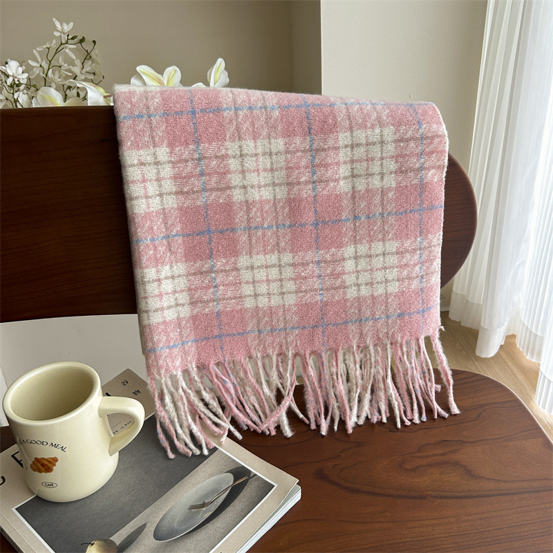 Women's Simple Style Plaid Imitation Cashmere Tassel Scarf display picture 6