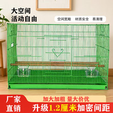 鸟用群鸟笼加粗鹦鹉笼加密虎皮玄风大号可折叠免安装铁艺鹦鹉笼