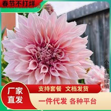 һ�����l�������N������յعϻ�����҃���ͥԺ�̨�ͺ��͟Ứ��
